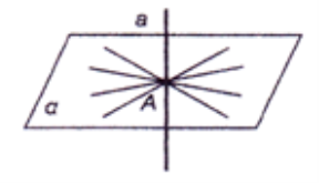 Новый рисунок (14)